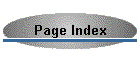 Page Index
